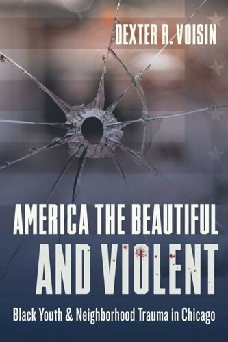 America the Beautiful and Violent: Black Youth and Neighborhood Trauma in Chicago