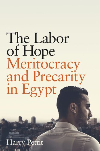 The Labor of Hope: Meritocracy and Precarity in Egypt