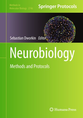 Neurobiology: Methods and Protocols (Methods in Molecular Biology, 2746)