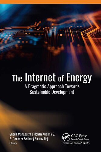 The Internet of Energy: A Pragmatic Approach Towards Sustainable Development