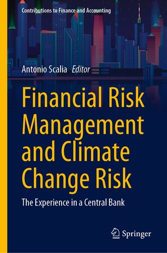 Financial Risk Management and Climate Change Risk: The Experience in a Central Bank (Contributions to Finance and Accounting)