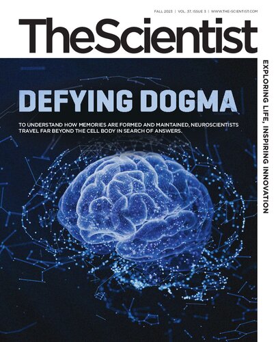 The Scientist