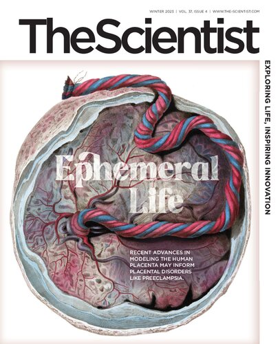 The Scientist
