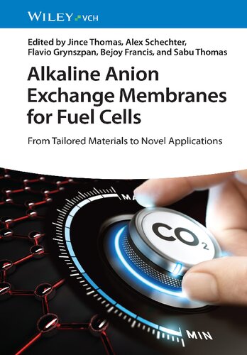 Alkaline Anion Exchange Membranes for Fuel Cells: From Tailored Materials to Novel Applications