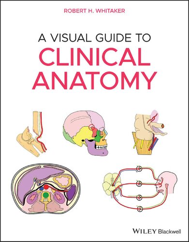 A Visual Guide to Clinical Anatomy