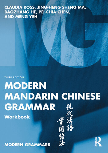 Modern Mandarin Chinese Grammar Workbook (Modern Grammar Workbooks)