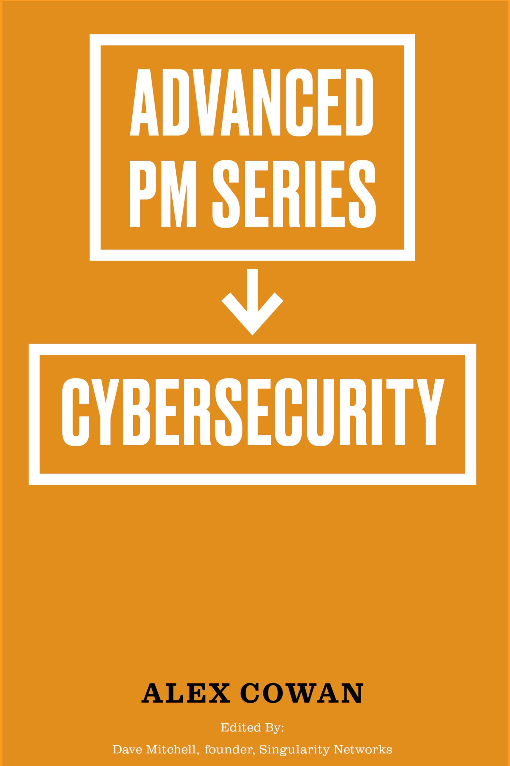 Advanced Product Management Series: Cybersecurity