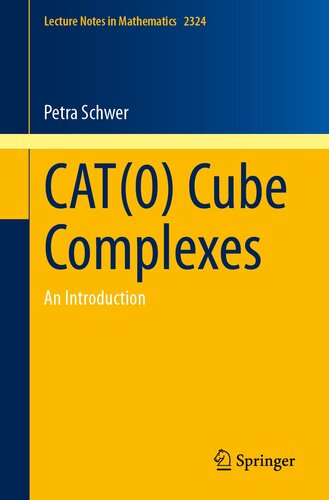 CAT(0) Cube Complexes: An Introduction (Lecture Notes in Mathematics, 2324)