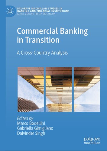 Commercial Banking in Transition: A Cross-Country Analysis (Palgrave Macmillan Studies in Banking and Financial Institutions)