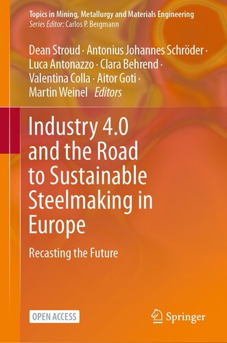 Industry 4.0 and the Road to Sustainable Steelmaking in Europe: Recasting the Future (Topics in Mining, Metallurgy and Materials Engineering)