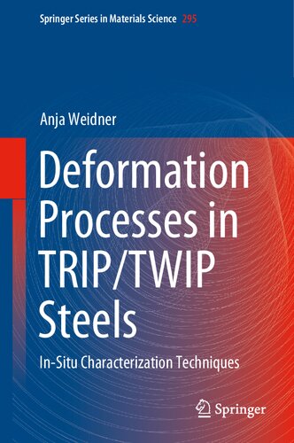 Deformation Processes in TRIP/TWIP Steels: In-Situ Characterization Techniques (Springer Series in Materials Science, 295)