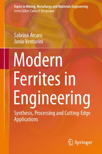 Modern Ferrites in Engineering: Synthesis, Processing and Cutting-Edge Applications (Topics in Mining, Metallurgy and Materials Engineering)