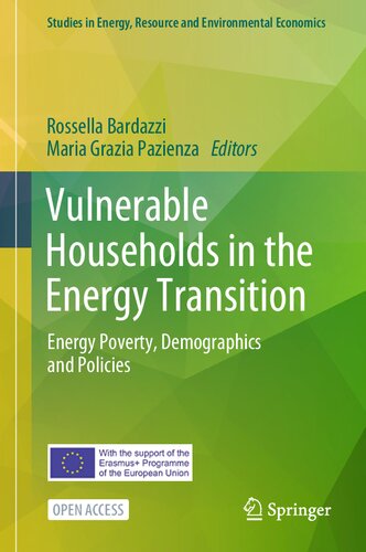 Vulnerable Households in the Energy Transition: Energy Poverty, Demographics and Policies (Studies in Energy, Resource and Environmental Economics)