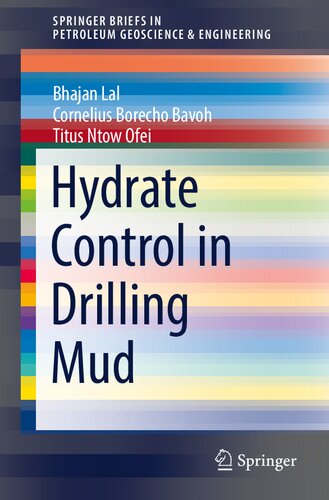 Hydrate Control in Drilling Mud (SpringerBriefs in Petroleum Geoscience & Engineering)