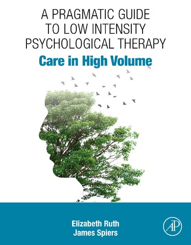 Care in High Volume: A Pragmatic Guide to Low Intensity Psychological Therapy