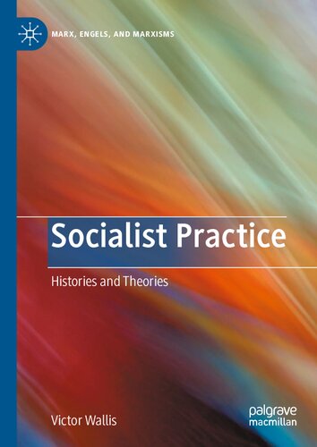 Socialist Practice: Histories and Theories