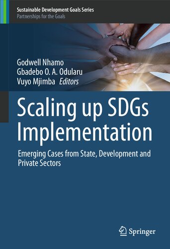 Scaling up SDGs Implementation: Emerging Cases from State, Development and Private Sectors (Sustainable Development Goals Series)