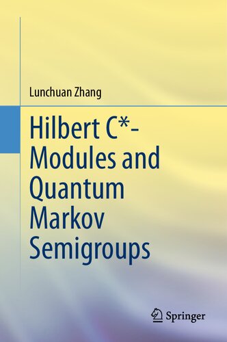 Hilbert C*-Modules and Quantum Markov Semigroups