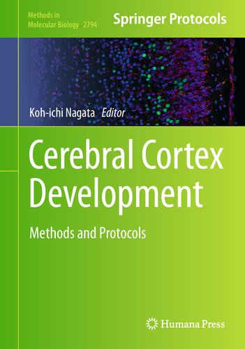 Cerebral Cortex Development: Methods and Protocols (Methods in Molecular Biology, 2794)