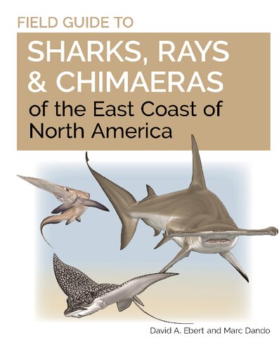 Field Guide to Sharks, Rays, & Chimaeras of the East Coast of North America