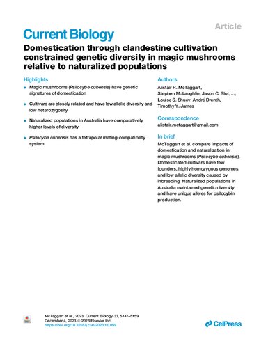 Domestication through clandestine cultivation constrained genetic diversity in magic mushrooms relative to naturalized populations