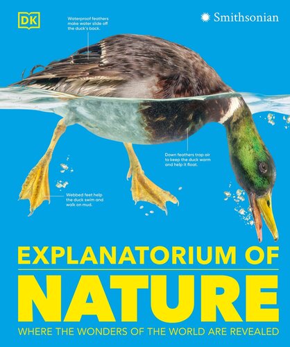 Explanatorium of the Earth: Where the Wonders of the World Are Revealed (DK Explanatorium)