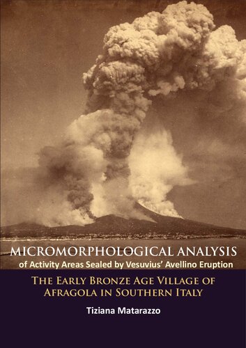 Micromorphological Analysis of Activity Areas Sealed by Vesuvius’ Avellino Eruption: The Early Bronze Age Village of Afragola in Southern Italy