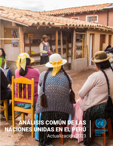 Análisis común de las Naciones en el Perú : Actualización 2023