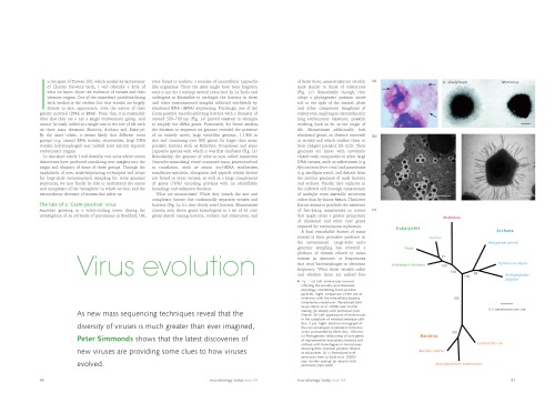 Virus Evolution