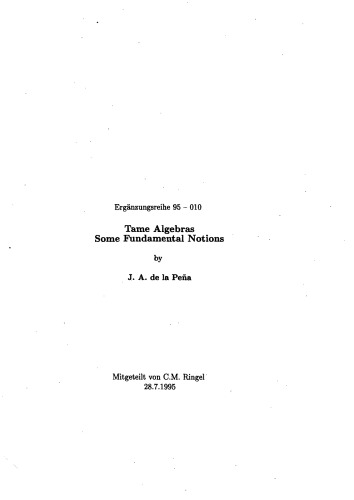 Tame Algebras: Some Fundamental Notions