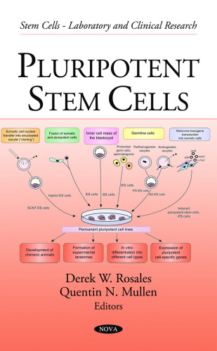 Pluripotent Stem Cells (Stem Cells - Laboratory and Clinical Research)