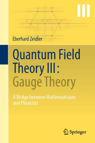 Quantum Field Theory III: Gauge Theory: A Bridge between Mathematicians and Physicists    