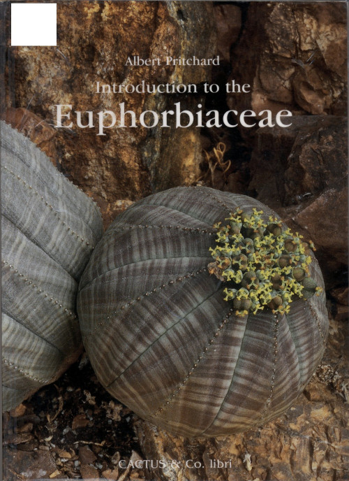 Introduction to the Euphorbiaceae