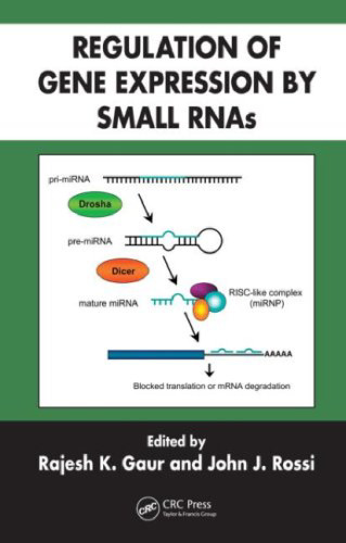 Regulation of gene expression by small RNAs