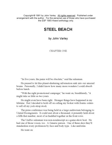 Steel Beach