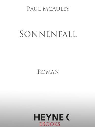 Sonnenfall (Roman)