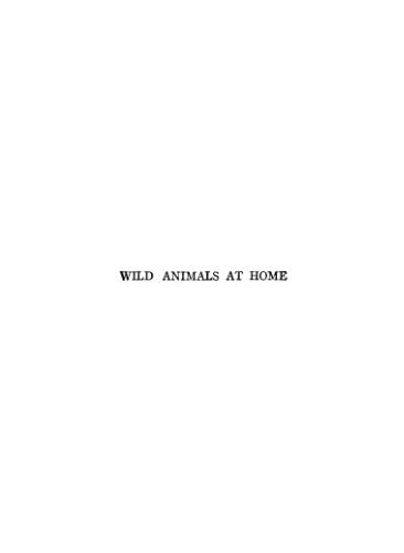 Wild animals at home