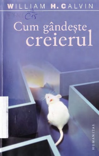 Cum gandeste creierul