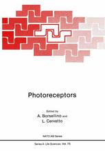 Photoreceptors